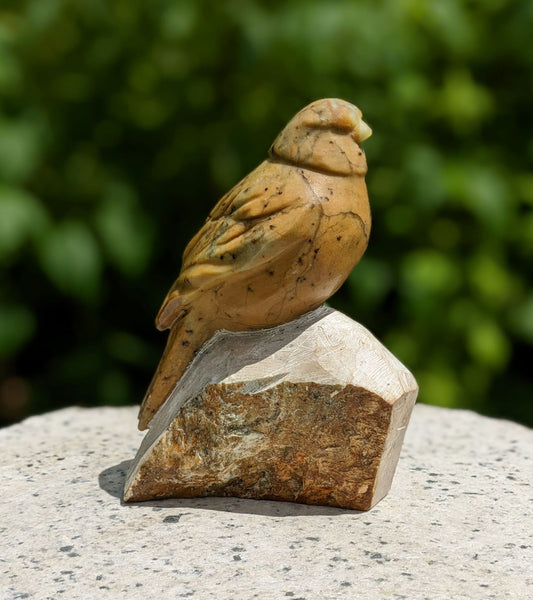 Songbird #5
