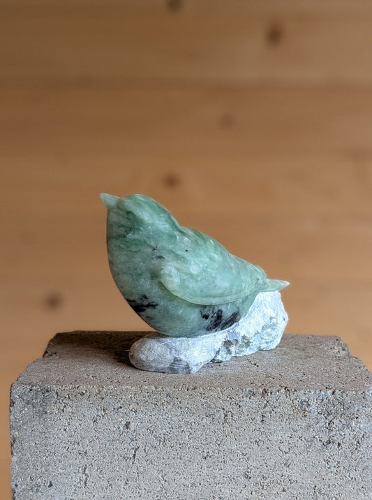 Aqua – Songbird #10