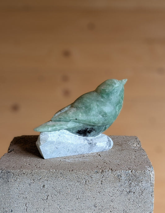 Aqua – Songbird #10