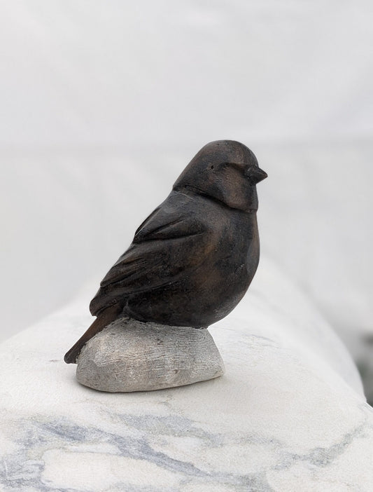 Songbird #8