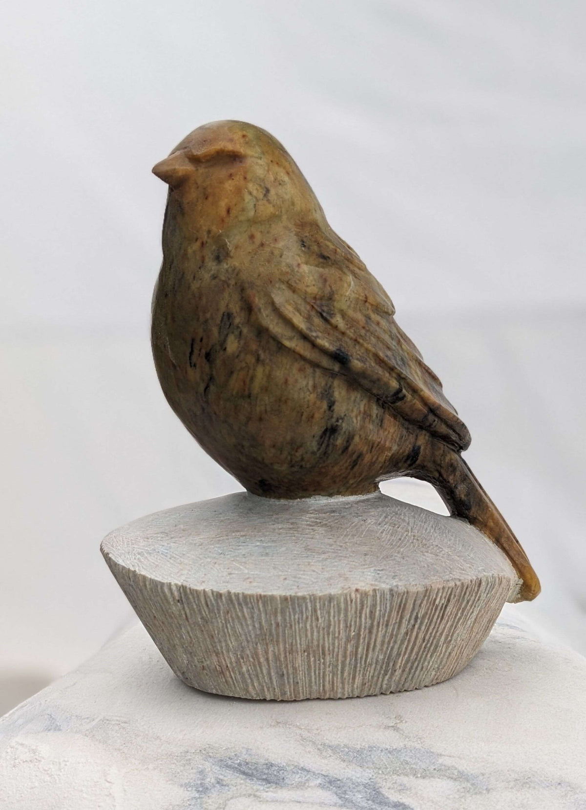 Songbird #9