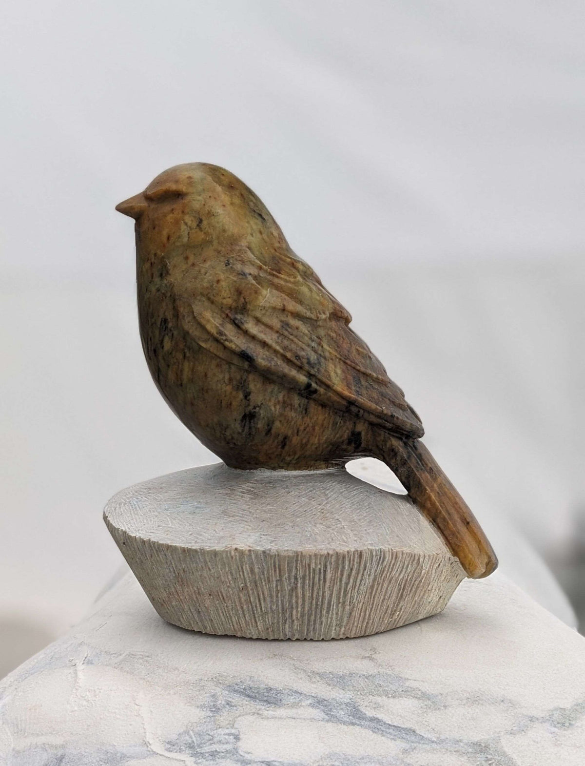 Songbird #9
