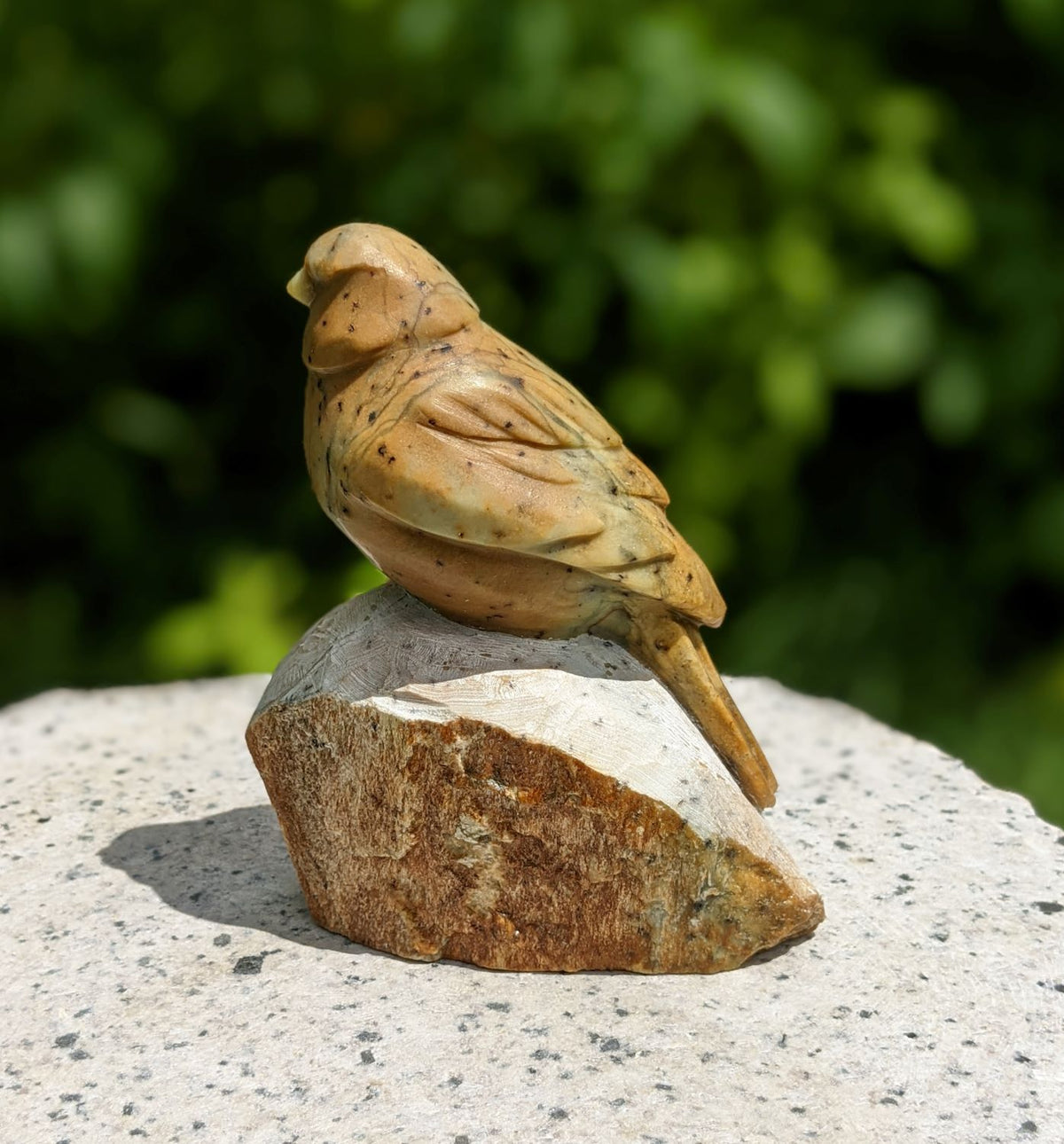 Songbird #5