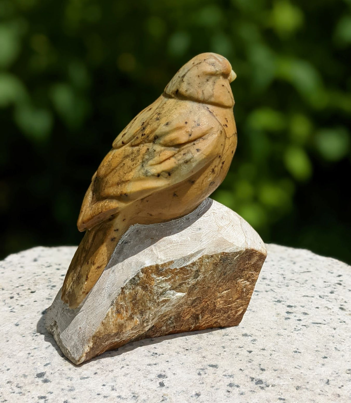 Songbird #5