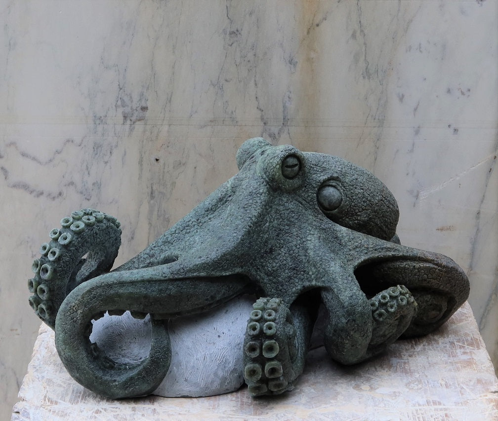 Octopus
