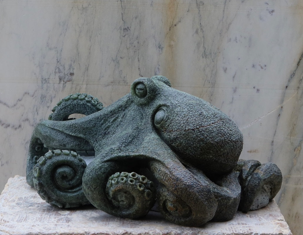 Octopus