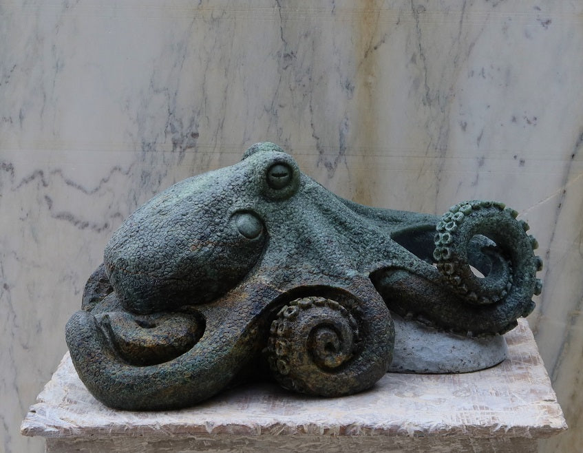 Octopus
