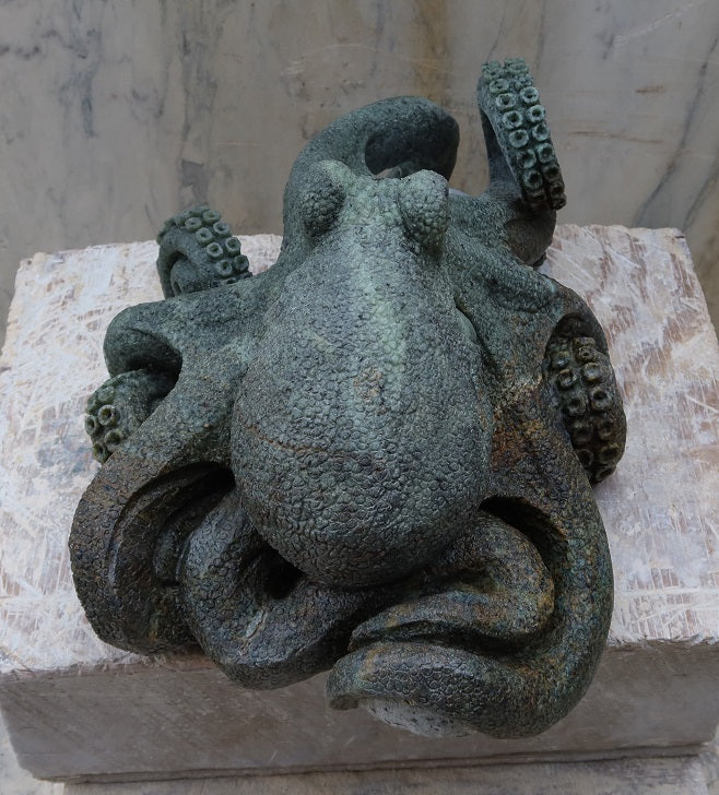 Octopus