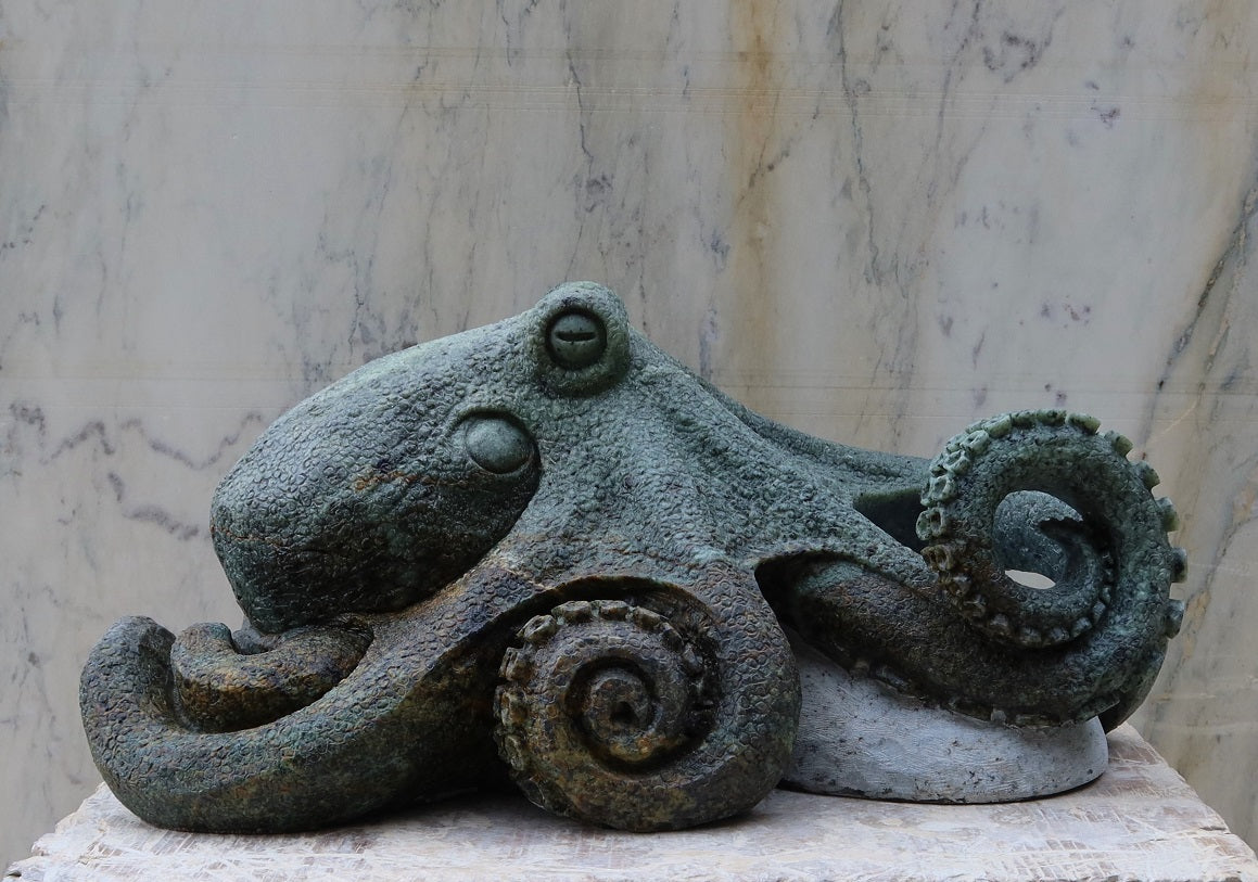 Octopus
