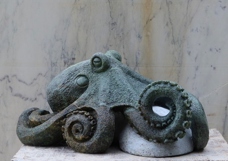 Octopus