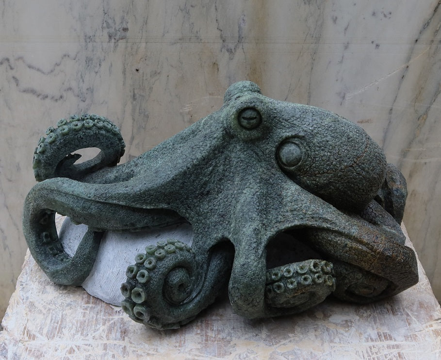 Octopus