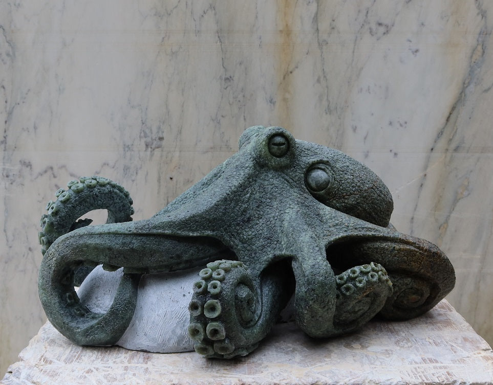 Octopus