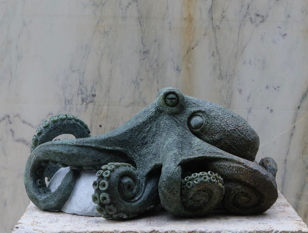 Octopus