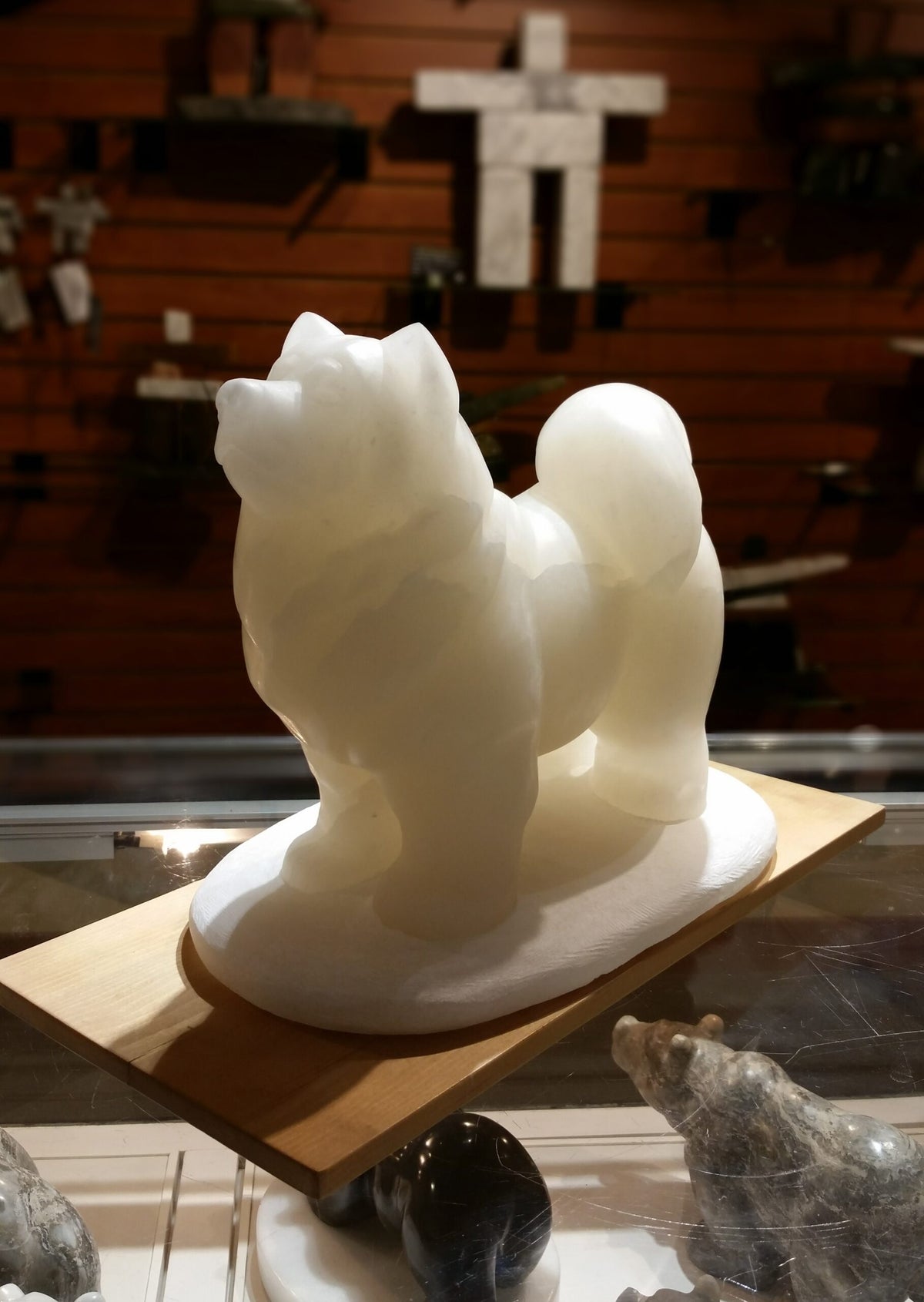 Samoyed Dog