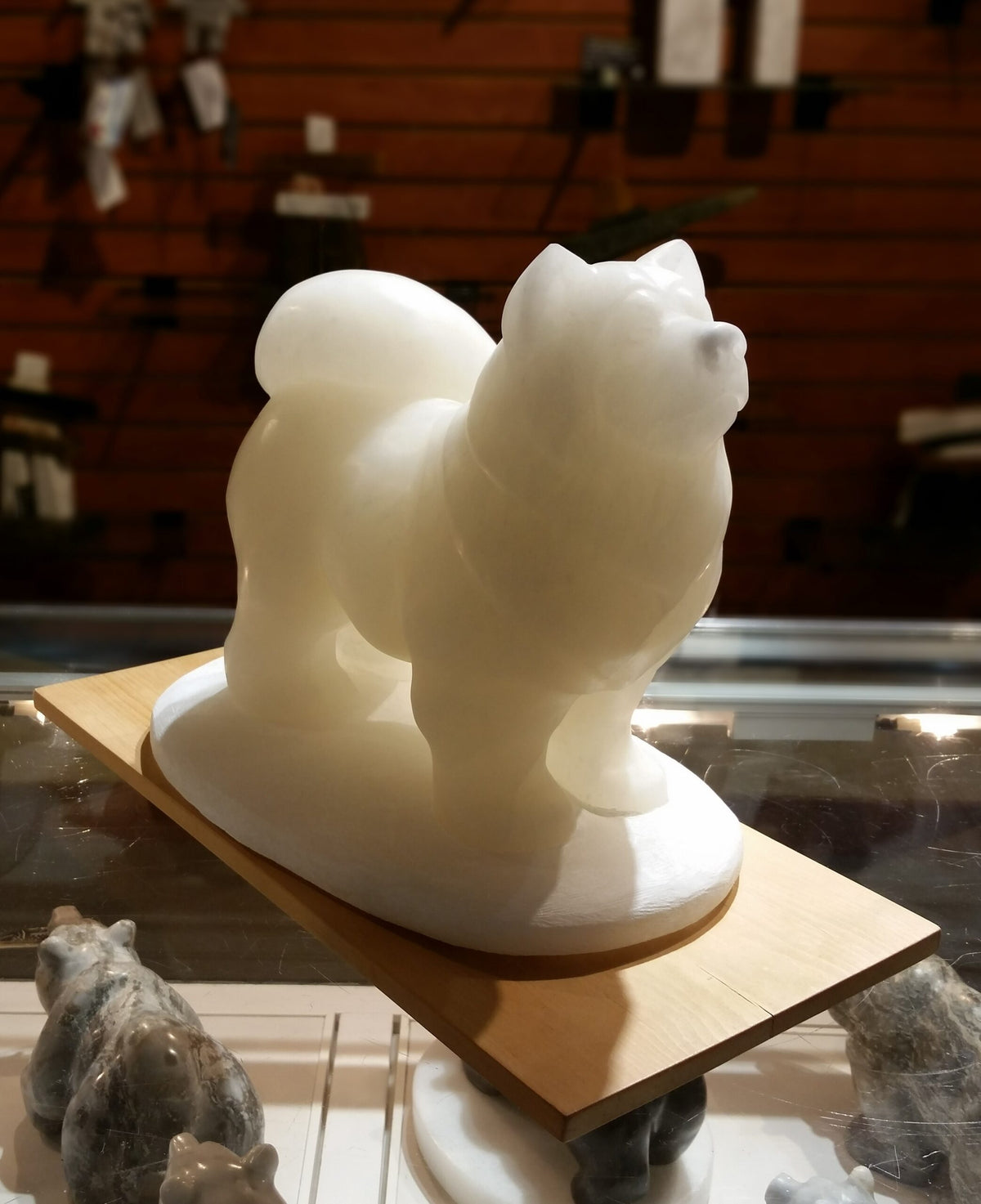 Samoyed Dog