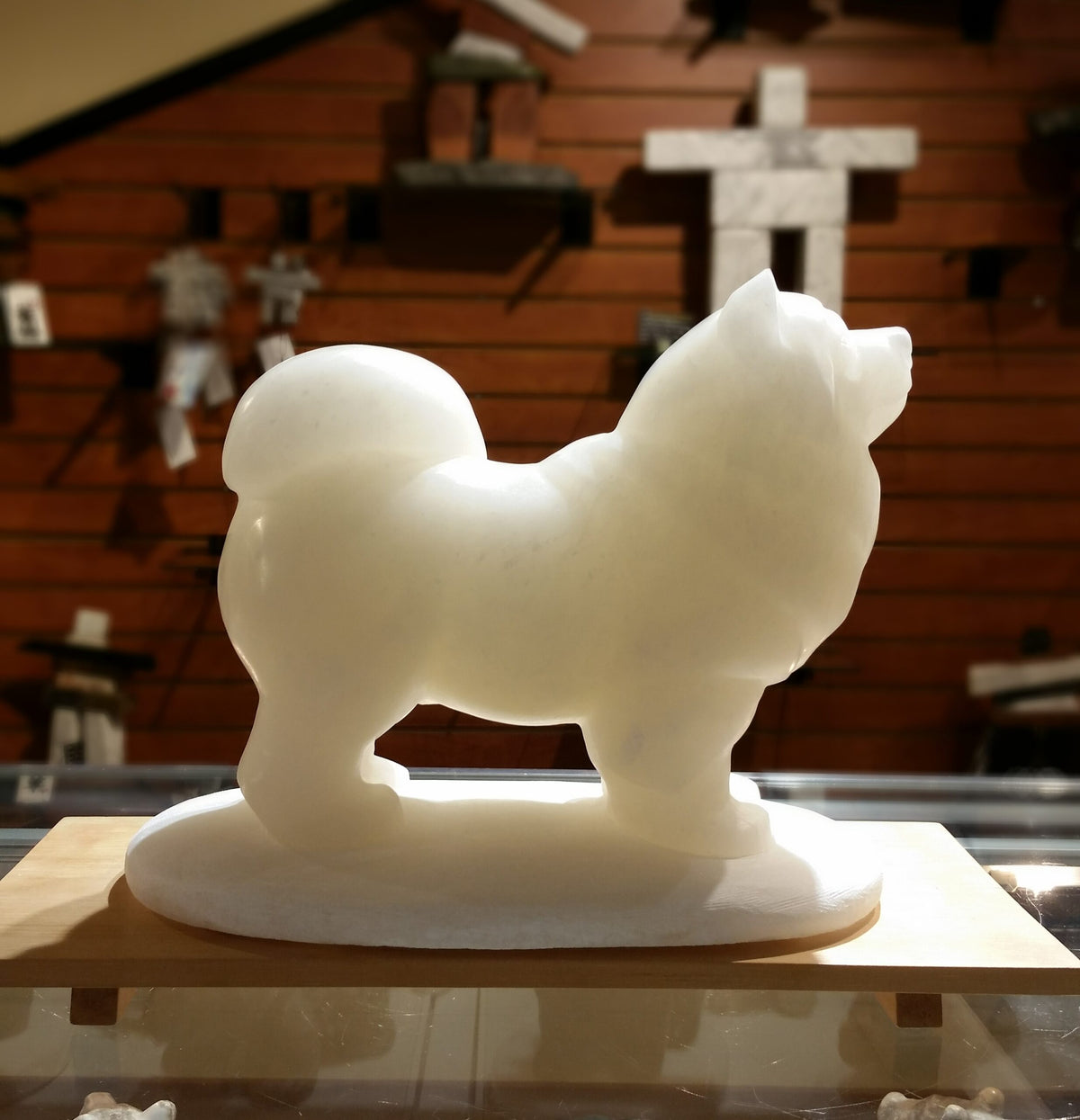 Samoyed Dog