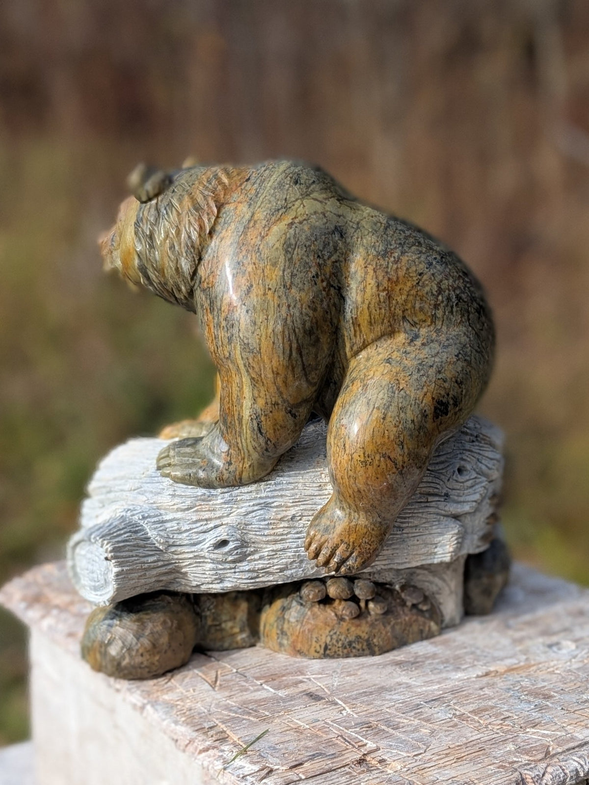 Eco, an original Indian Soapstone sculpture by Canadian artist Andrew Gable.