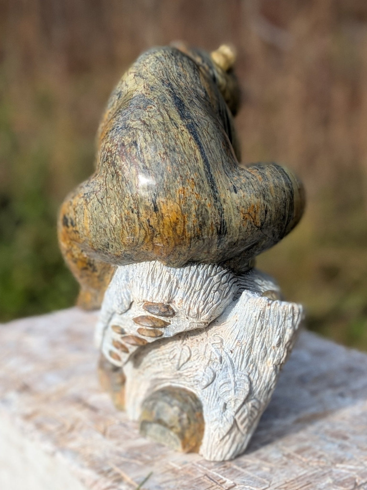 Eco, an original Indian Soapstone sculpture by Canadian artist Andrew Gable.