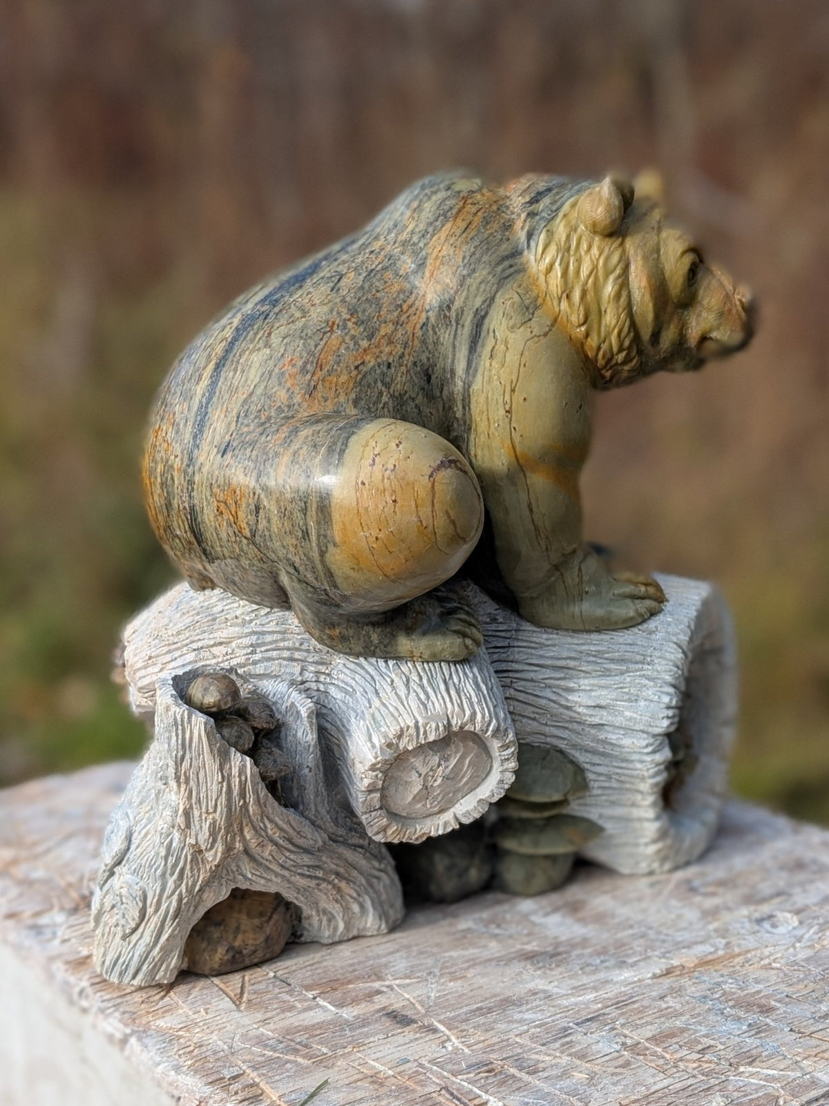 Eco, an original Indian Soapstone sculpture by Canadian artist Andrew Gable.
