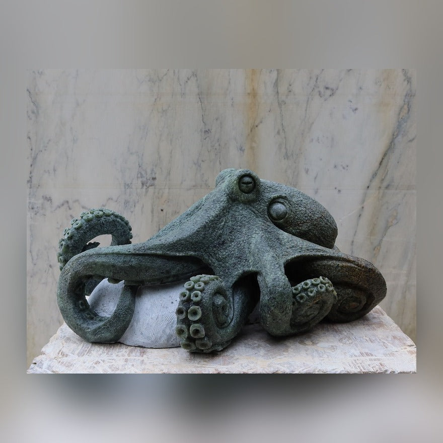 Octopus