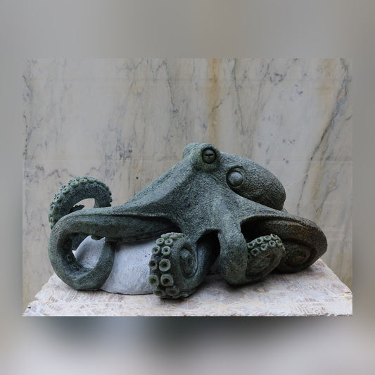 Octopus