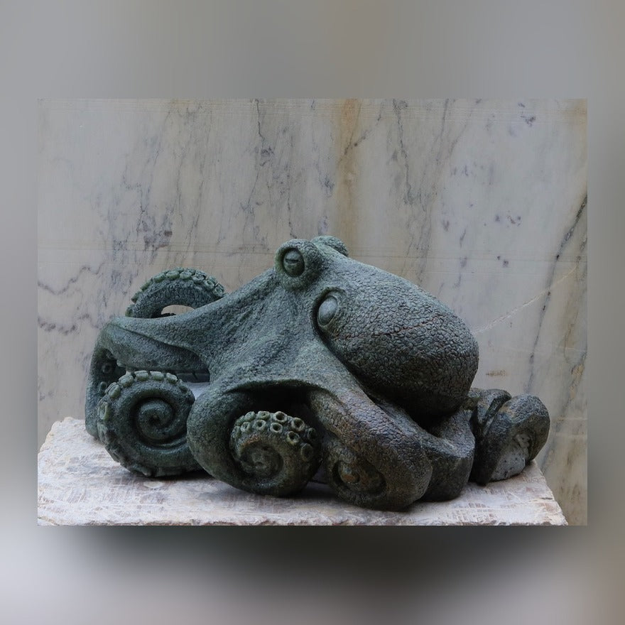Octopus