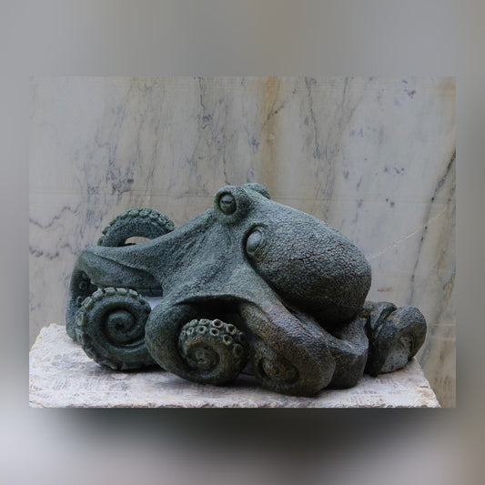 Octopus