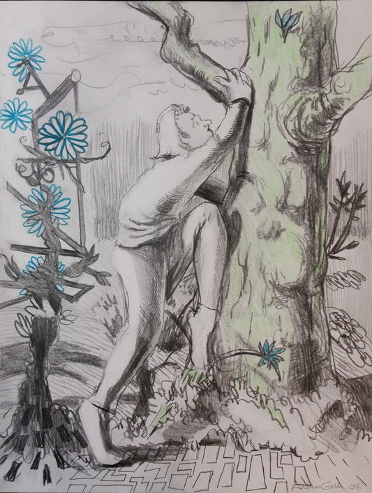 The Climber