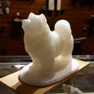 Samoyed Dog (Sold)