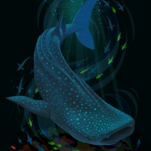 THE DEEP