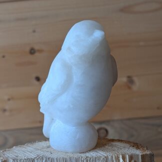 Serene - Songbird #11